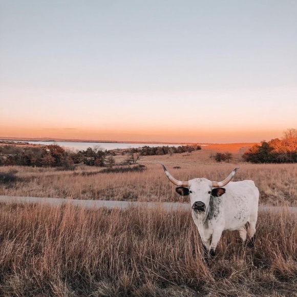 Meet your Posher, Mel - Picture 1 of 1